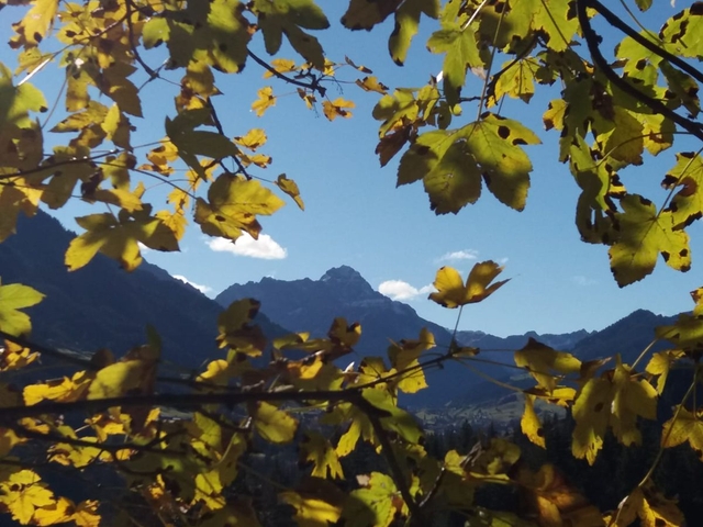 Obermaiselstein 2018 (9)